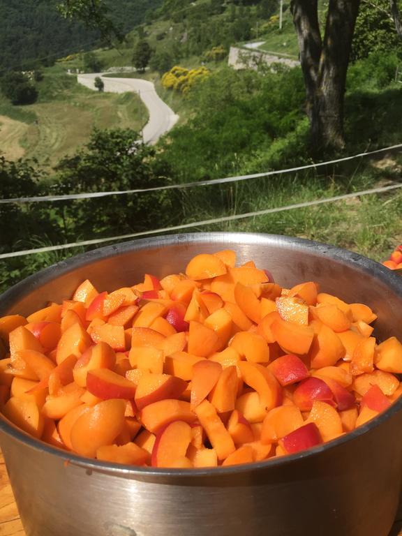 Auberge Du Col De Brouis Breil-sur-Roya Zewnętrze zdjęcie